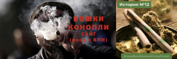 молекула духа Мегион