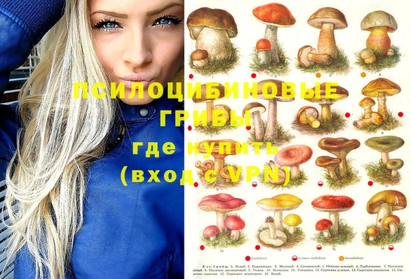мет Магас