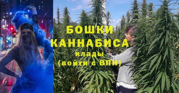 PSILOCYBIN Алапаевск