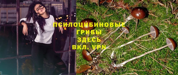 прущая мука Майский