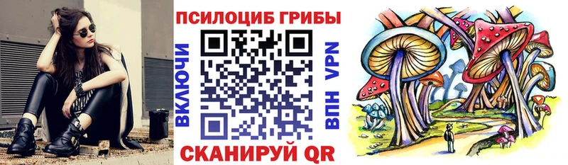 Галлюциногенные грибы мицелий  Магадан 