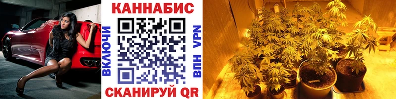 Конопля MAZAR Магадан
